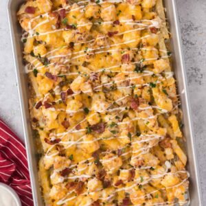 Loaded Fries