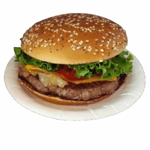 Beef Patty Burger (Single)